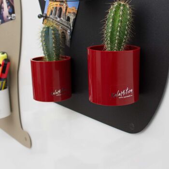 Set de Cylindres Magnétiques, 6,5 cm, Rouge, Cache-pots pour Petits Cactus 2