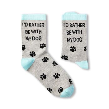 Mesdames, je serais plutôt avec mon chien Chaussettes 1