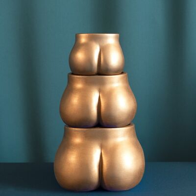 Golden Butt Potty