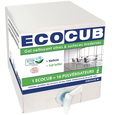 Ecocub Action verte gel nettoyant vitres et surfaces Ecocert   -Medium