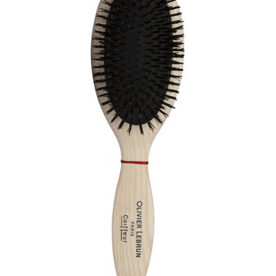 Brosse de Soin for Normal to Thick Hair