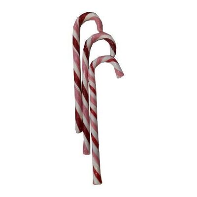 CANNE SUCRE D'ORGE FRAISE - tubo de 72 pcs