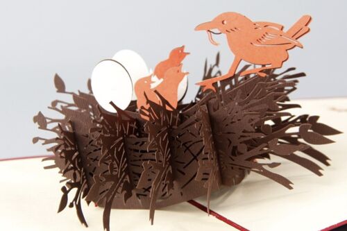 3D wenskaart liefdesnest vogelnest en vogeltjes pop-up bedankkaart