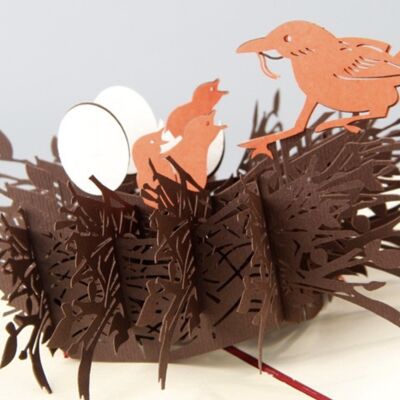 3D wenskaart liefdesnest vogelnest en vogeltjes pop-up bedankkaart