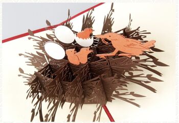 Carte de voeux 3D nid d'amour nid d'oiseau et oiseaux pop-up carte de remerciement 2