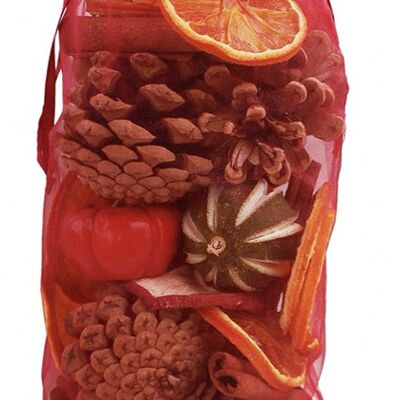 Large Cone, Cinnamon and Fruit Organza Bag