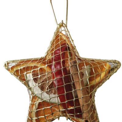 Hanging Metal Mesh Star (3 colours available)