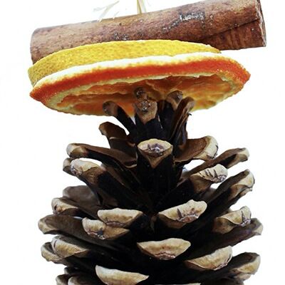 Tree Decoration: Cone