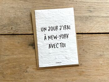 Un jour j'irai à New-york avec toi