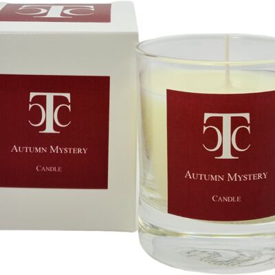 Candela profumata Autumn Mystery 40 ore