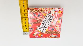 HASYU001 Lot bloc 100 feuilles de papier japonais de Kyoto pour pliage origami 3