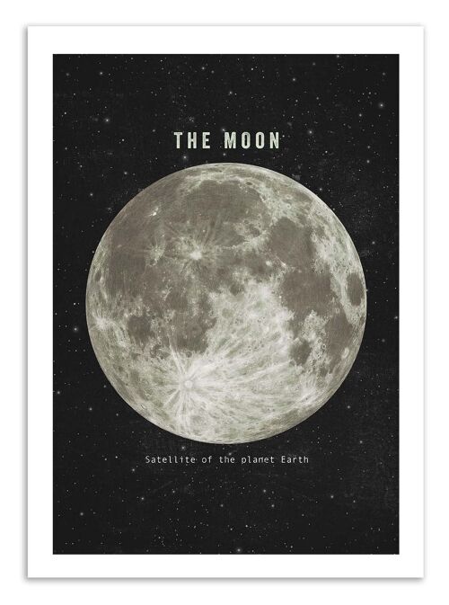 Art-Poster - The moon - Terry Fan W16125-A3