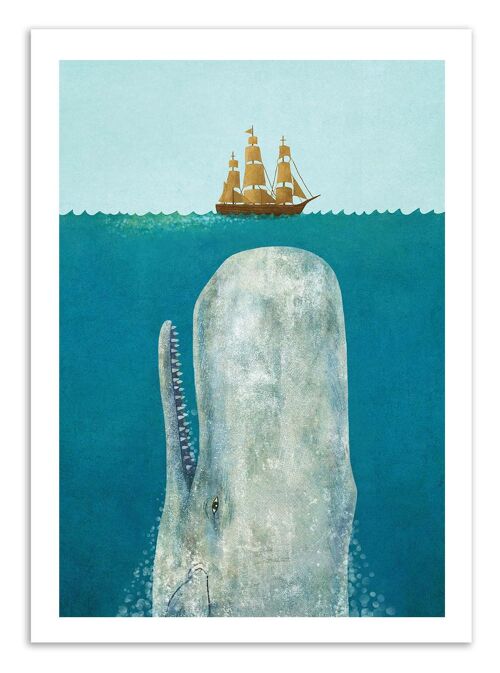 Art-Poster - The Whale - Terry Fan W16126-A3