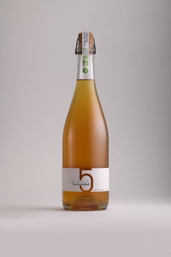 Cidre bio et sans sulfites - cuvée Jean René 75cl 1