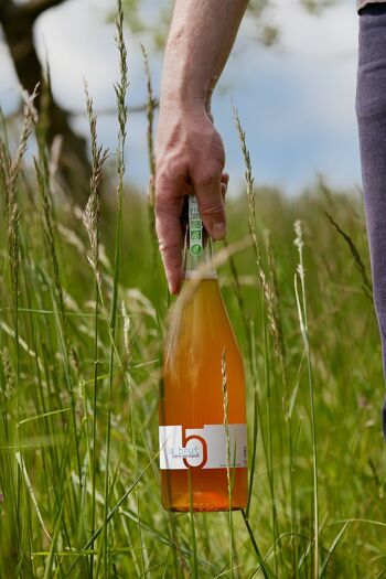 Cidre bio et sans sulfites - cuvée Jean René 75cl 2