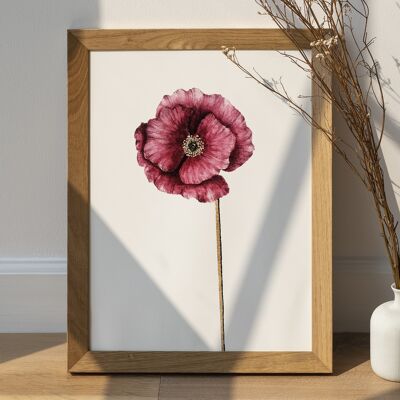 Cartel de flor de amapola - Decoración de plantas - Estampado de flor de amapola botánico