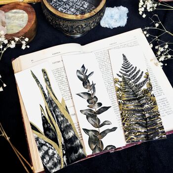 Marque-pages botaniques 1 -  botanical bookmarks - marque pages de plante signets 3
