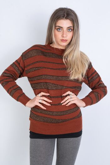 Pull bord pailleté marron 1