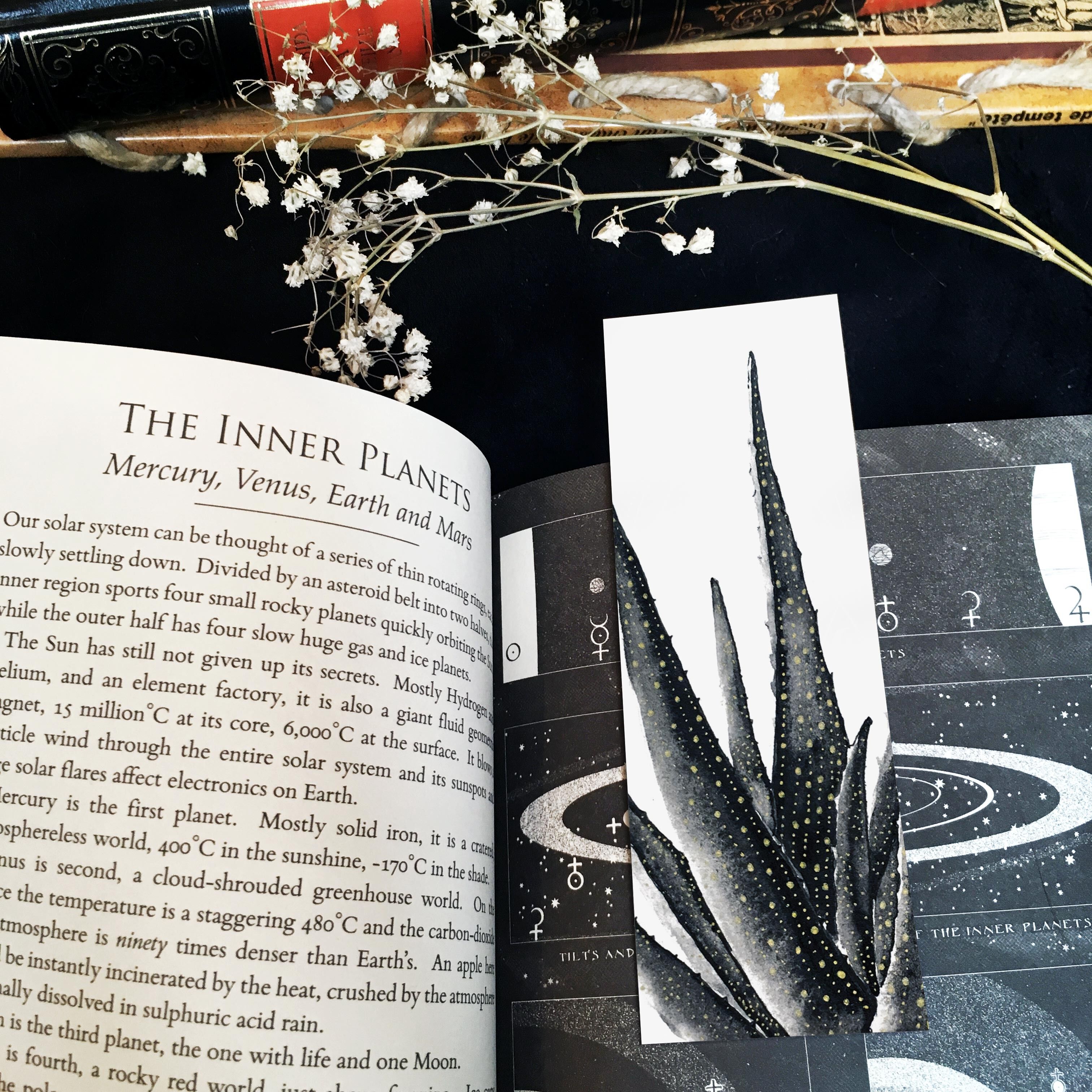 Marque-pages botaniques 2 -  botanical plant bookmarks - marque pages signets de plantes