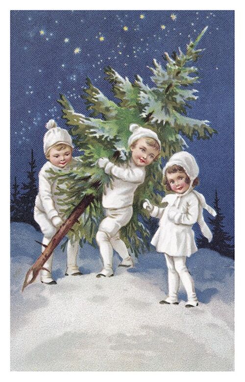 Carte postale sapin de Noël