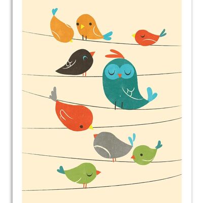 Art-Poster - Colorfull birds - Jay Fleck W16248-A3