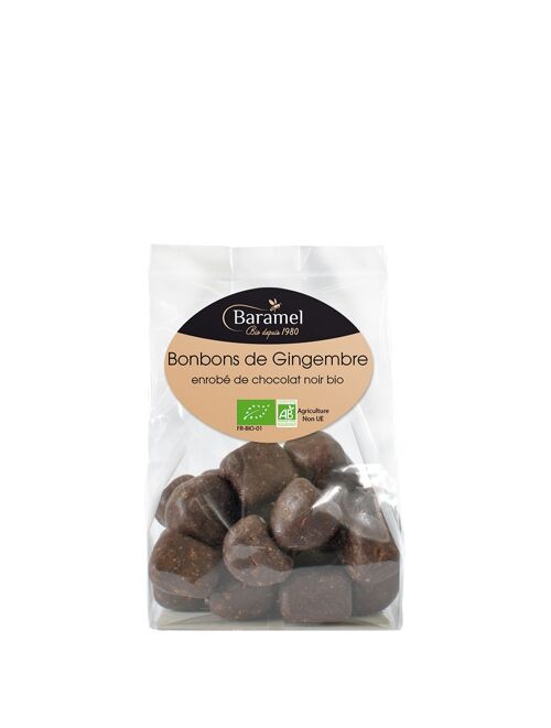Candied ginger coated with CHOCOLATE - CANDY - (sachet) 110g