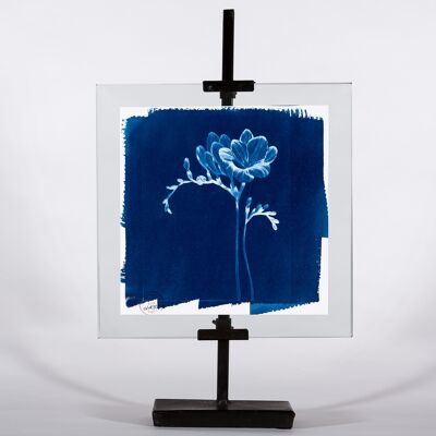 Cyanotype La Fleur