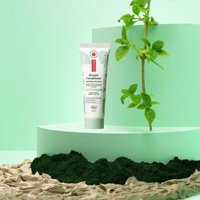 Maschera antiacne e imperfezioni - Anti-Blemish Poultice Mask