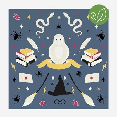 20 Paper napkins: wizard