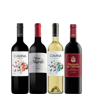 Confezione di vino spagnolo al 100% - 4 bottiglie