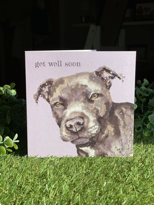 Get Well Soon Colour Pop Dog greeting card
