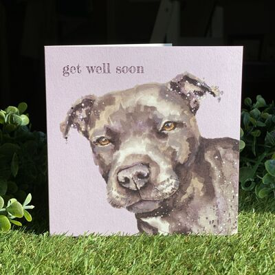 Get Well Soon Colour Pop Dog greeting card