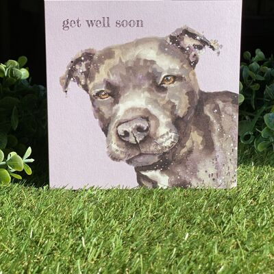 Get Well Soon Color Pop Dog-Grußkarte