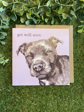 Get Well Soon Colour Pop Dog greeting card 2