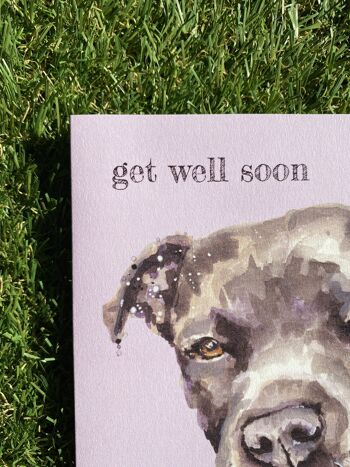 Get Well Soon Colour Pop Dog greeting card 3