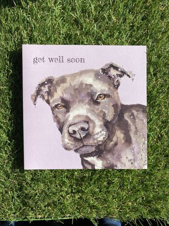 Get Well Soon Colour Pop Dog greeting card 4
