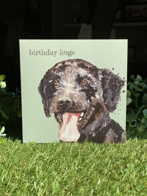 Birthday Hugs Colour Pop Dog card