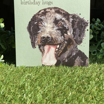 Birthday Hugs Colour Pop Dog card