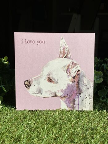 I Love You Colour Pop Dog greeting card 1