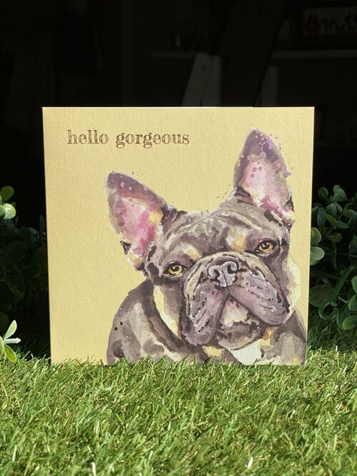 Hello Gorgeous Colour Pop Dog greeting card