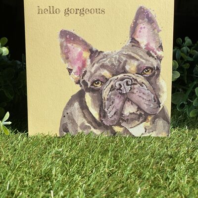 Hello Gorgeous Color Pop Dog greeting card