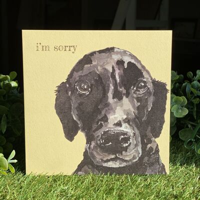 I'm Sorry Color Pop Dog greeting card