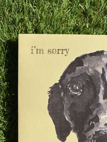 I'm Sorry Colour Pop Dog greeting card 2