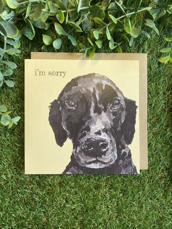 I'm Sorry Colour Pop Dog greeting card 3