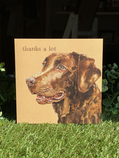 Thanks A Lot Colour Pop Dog greeting card