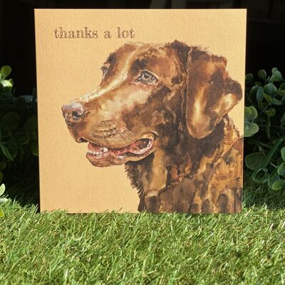 Thanks A Lot Color Pop Dog greeting card