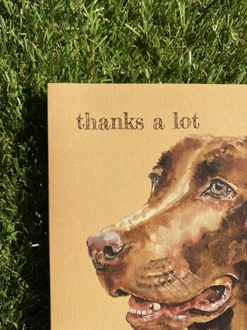 Thanks A Lot Colour Pop Dog greeting card 2