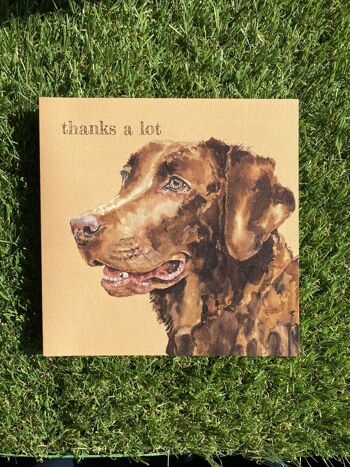 Thanks A Lot Colour Pop Dog greeting card 3
