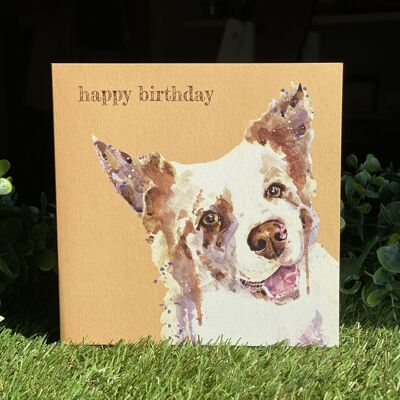 Cartolina d'auguri di buon compleanno Color Pop cane