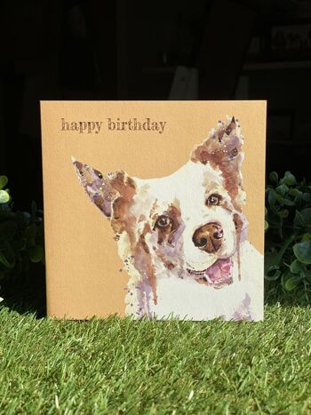 Happy Birthday Colour Pop dog greeting card 1
